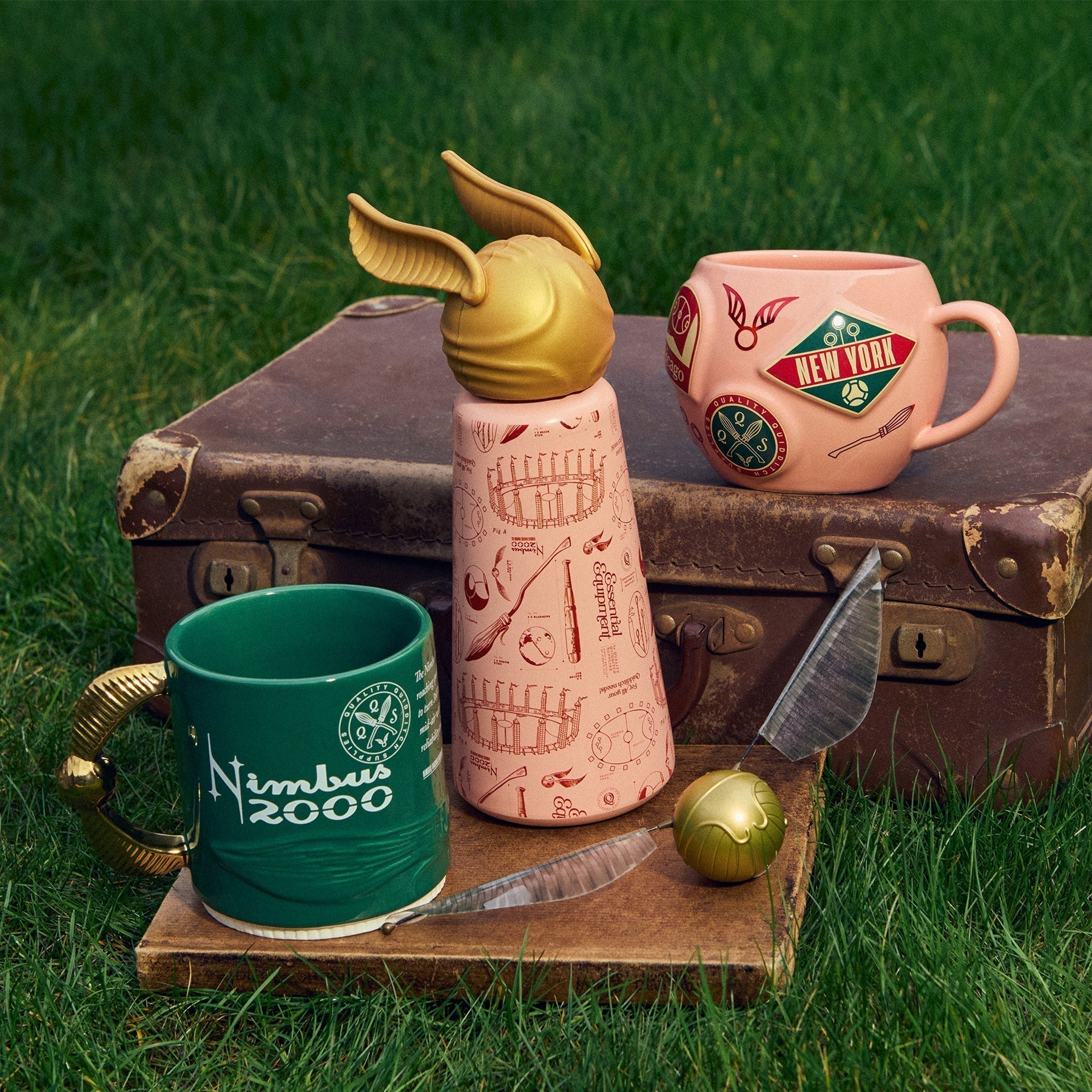 Nimbus 2000 Mug